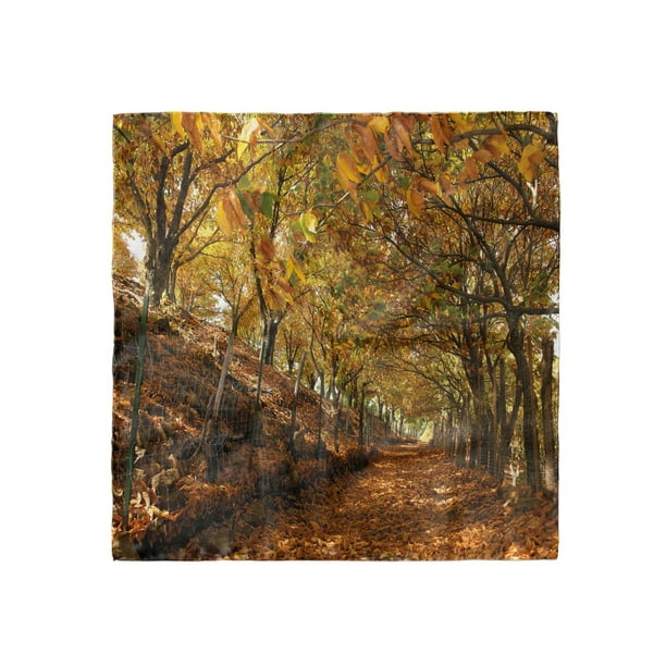 Autumn Dried Flowers Head Wrap Ambesonne Nature Hairscarf Autumn Dried Flowers Head Wrap Ambesonne Nature Hairscarf